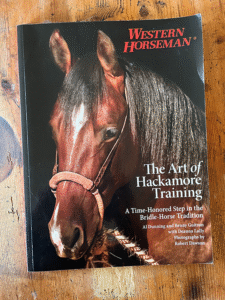 The art of Hackamore Training