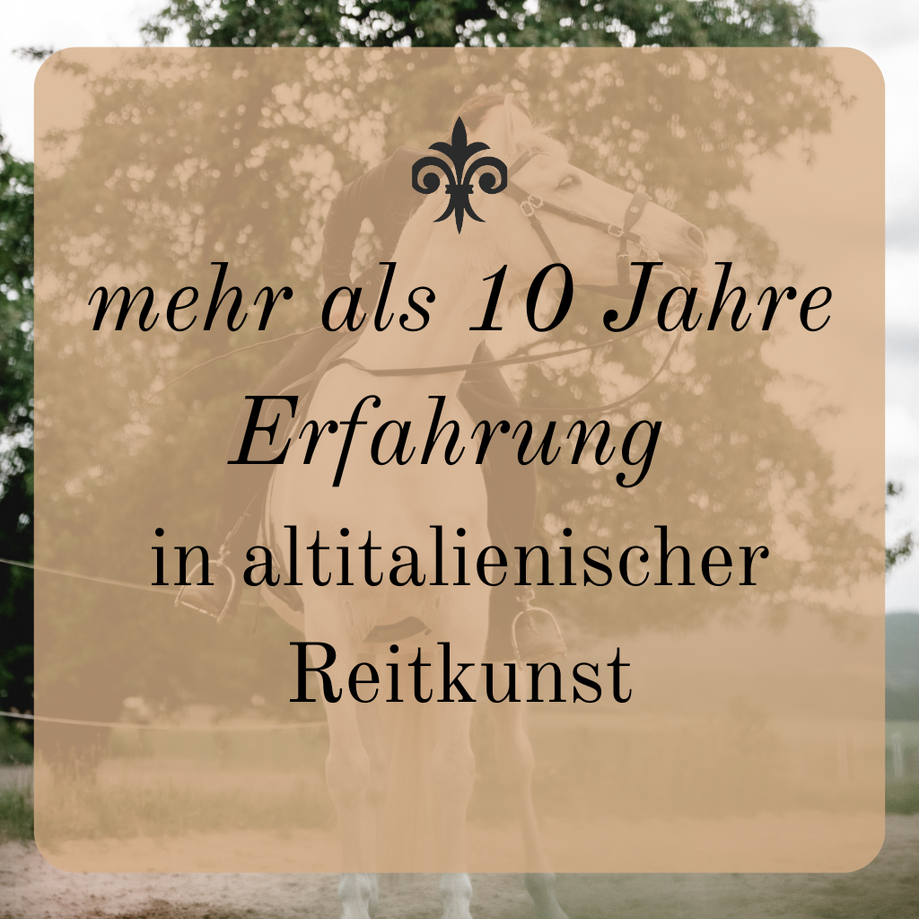 Mehr als 10 Jahre Erfahrung in der altitalienischen Reitkunst