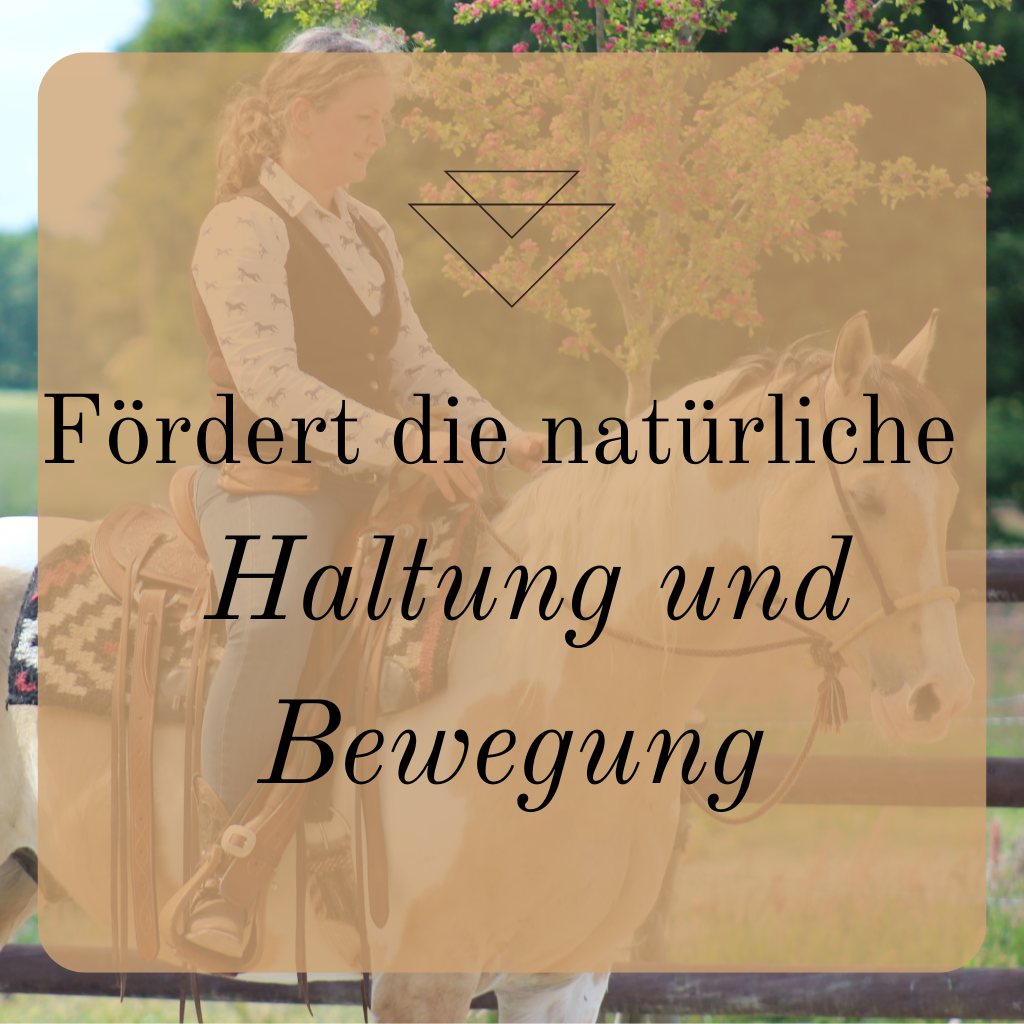 Fördert die natürliche Haltung und Bewegung