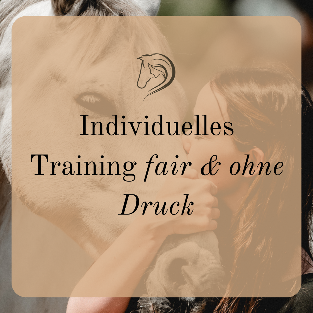 Individuelles Training – fair & ohne Druck