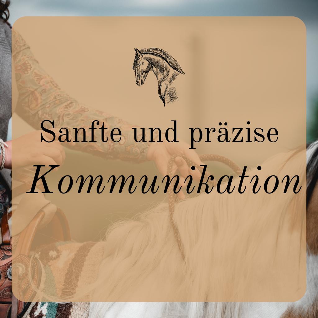 Sanfte und präzise Kommunikation