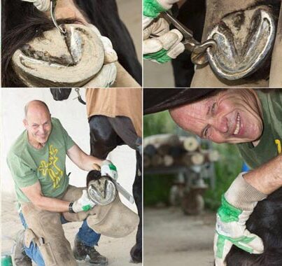 Rudy Köhler Pfit Hufbearbeitung