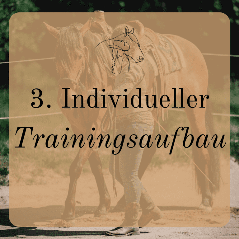 Individueller Trainingsaufbau Beritt und Training auf den Mühlenhöfen