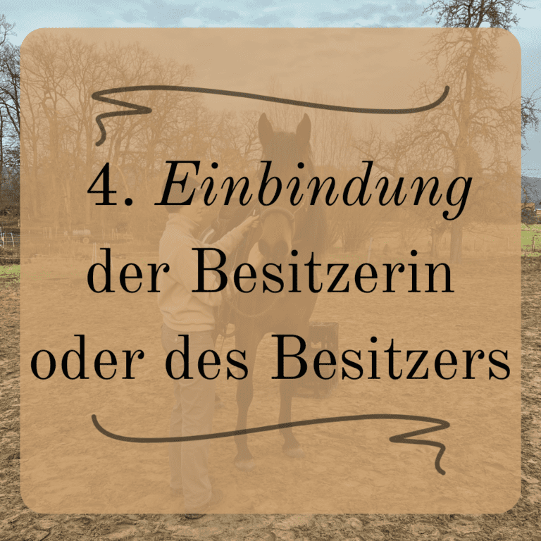 Einbindung der Besitzerin oder des Besitzers in das Training auf den Mühlenhöfen