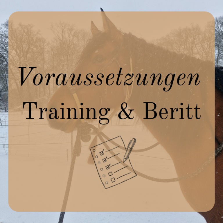 Voraussetzungen Training und Beritt auf den Mühlenhöfen in der altkalifornischen Reitweise und in der Reitkunst