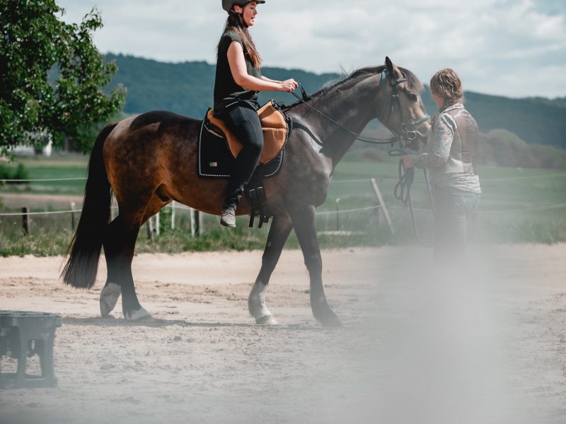 Berittpony Simba mit Janine und Steffi im Training