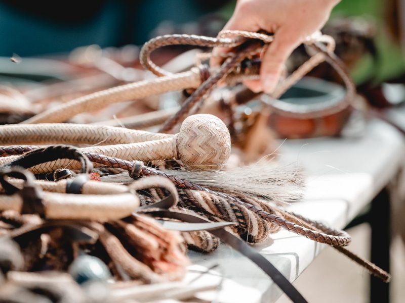 5 gute Gründe für ein Bosal